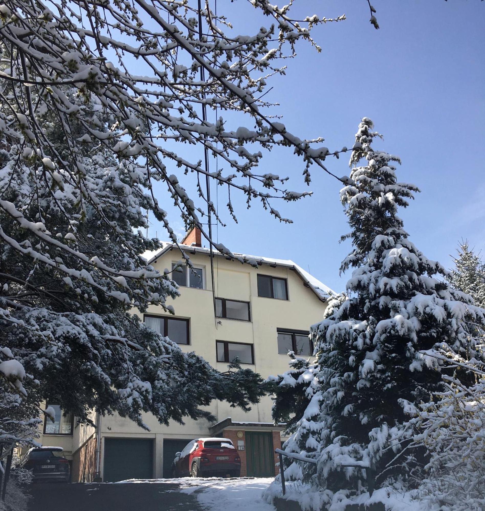 Romantic Two Bedroom Apartments In The Hills Of Budapest With Private Parking Eksteriør bilde